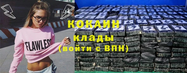альфа пвп Елизово