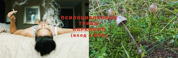 jwh Ельня